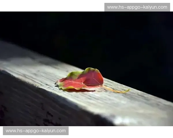 开云体育临场消息：让每一个瞬间都成为掌心的清晰画面